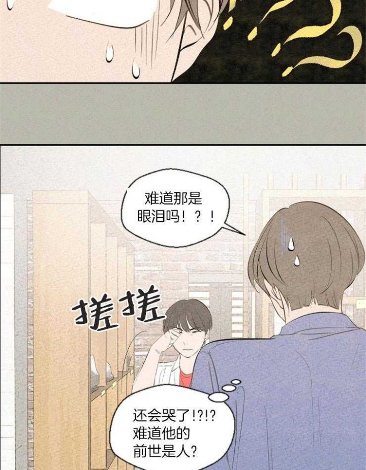 《午夜共生》漫画最新章节第66话免费下拉式在线观看章节第【5】张图片