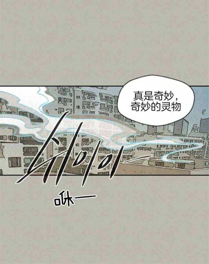 《午夜共生》漫画最新章节第52话免费下拉式在线观看章节第【14】张图片