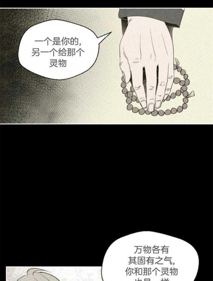 《午夜共生》漫画最新章节第48话免费下拉式在线观看章节第【5】张图片