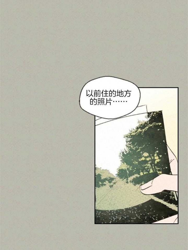 《午夜共生》漫画最新章节第31话免费下拉式在线观看章节第【11】张图片