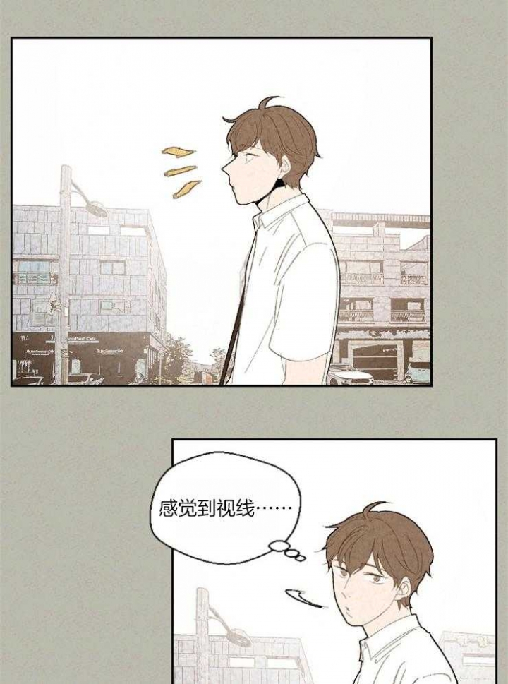 《午夜共生》漫画最新章节第78话免费下拉式在线观看章节第【10】张图片