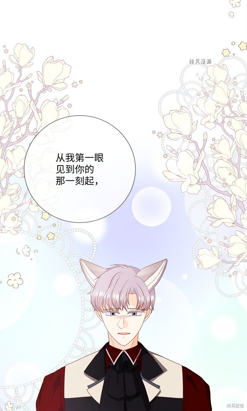 《虽然是狼但不会伤害你》漫画最新章节第67话 试看版免费下拉式在线观看章节第【41】张图片