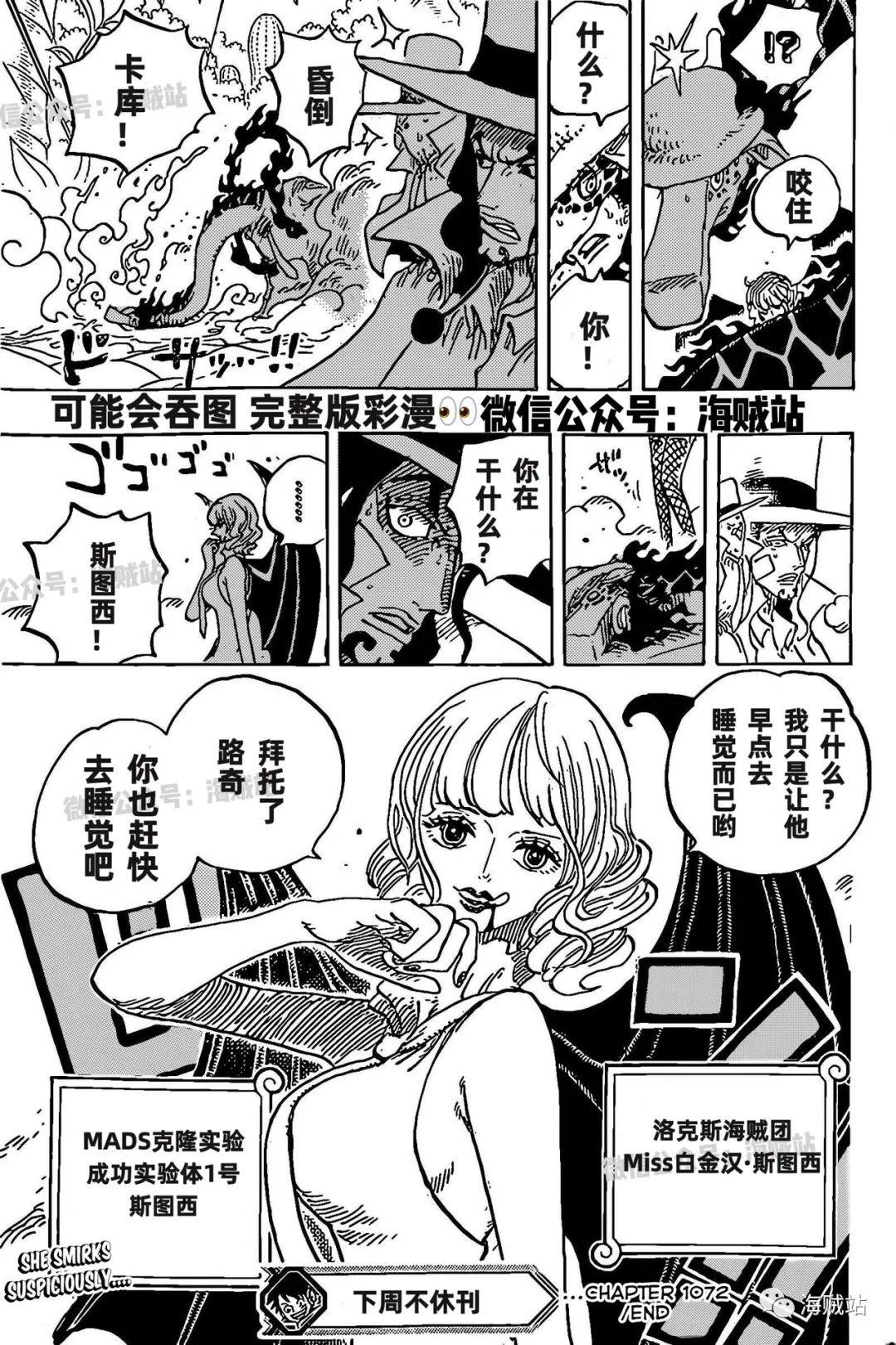 《海贼王》漫画最新章节第1072话 记忆的重量免费下拉式在线观看章节第【17】张图片