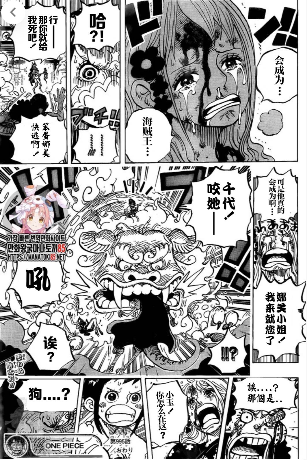 《海贼王》漫画最新章节第995话 女忍的誓言免费下拉式在线观看章节第【17】张图片