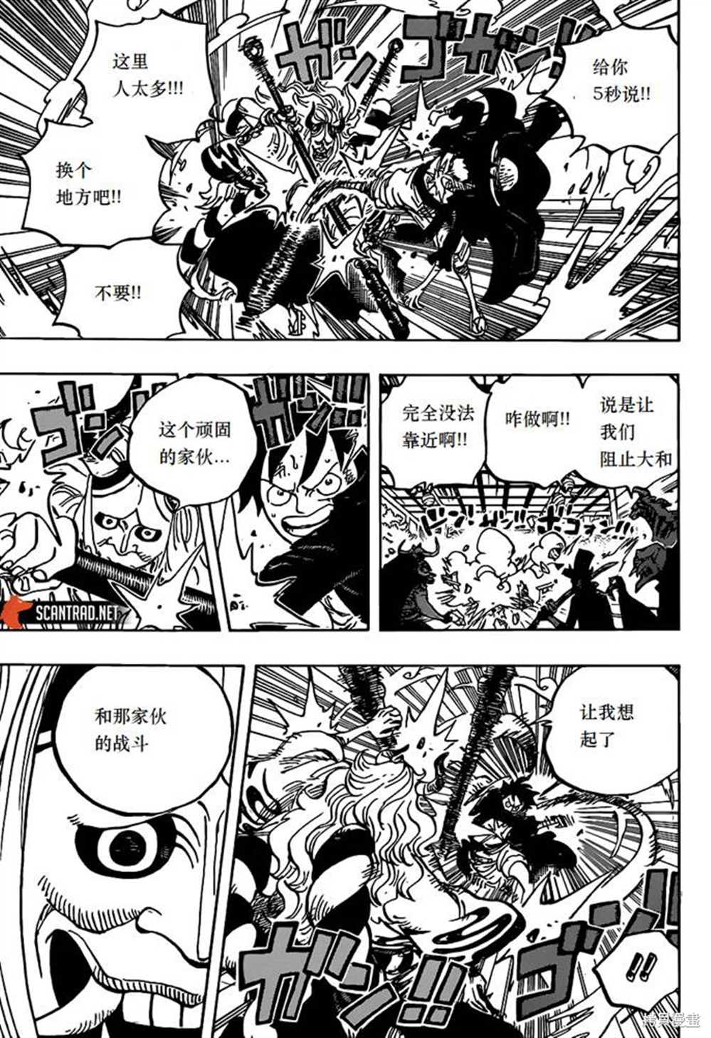 《海贼王》漫画最新章节第984话 我的圣经免费下拉式在线观看章节第【5】张图片