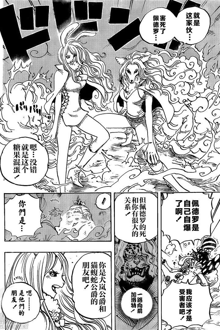 《海贼王》漫画最新章节第995话 女忍的誓言免费下拉式在线观看章节第【6】张图片