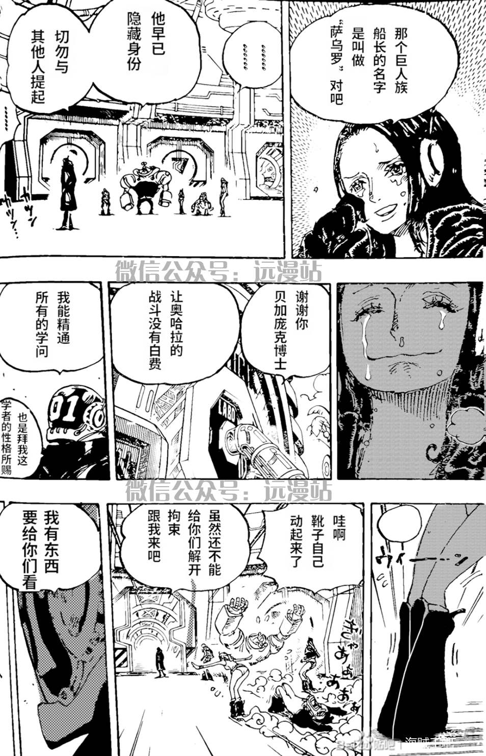 《海贼王》漫画最新章节第1066话 试看版免费下拉式在线观看章节第【13】张图片