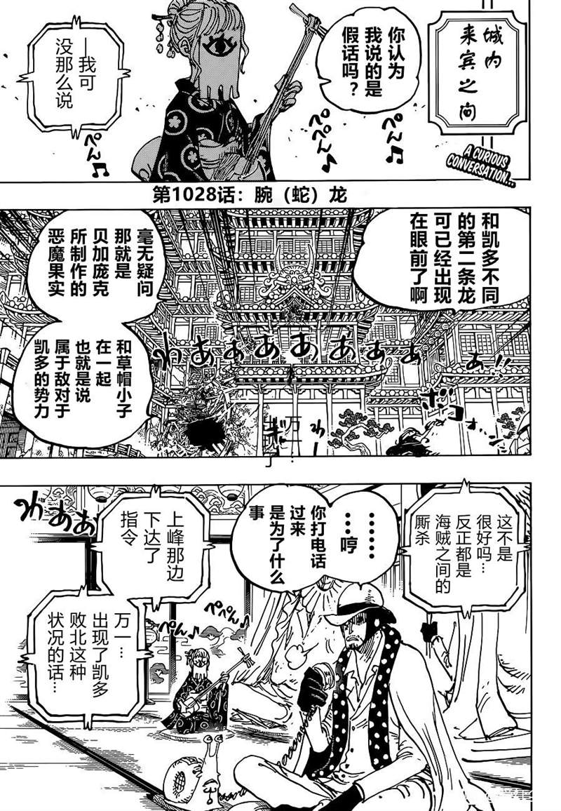 《海贼王》漫画最新章节第1028话 腕（蛇）龙免费下拉式在线观看章节第【3】张图片