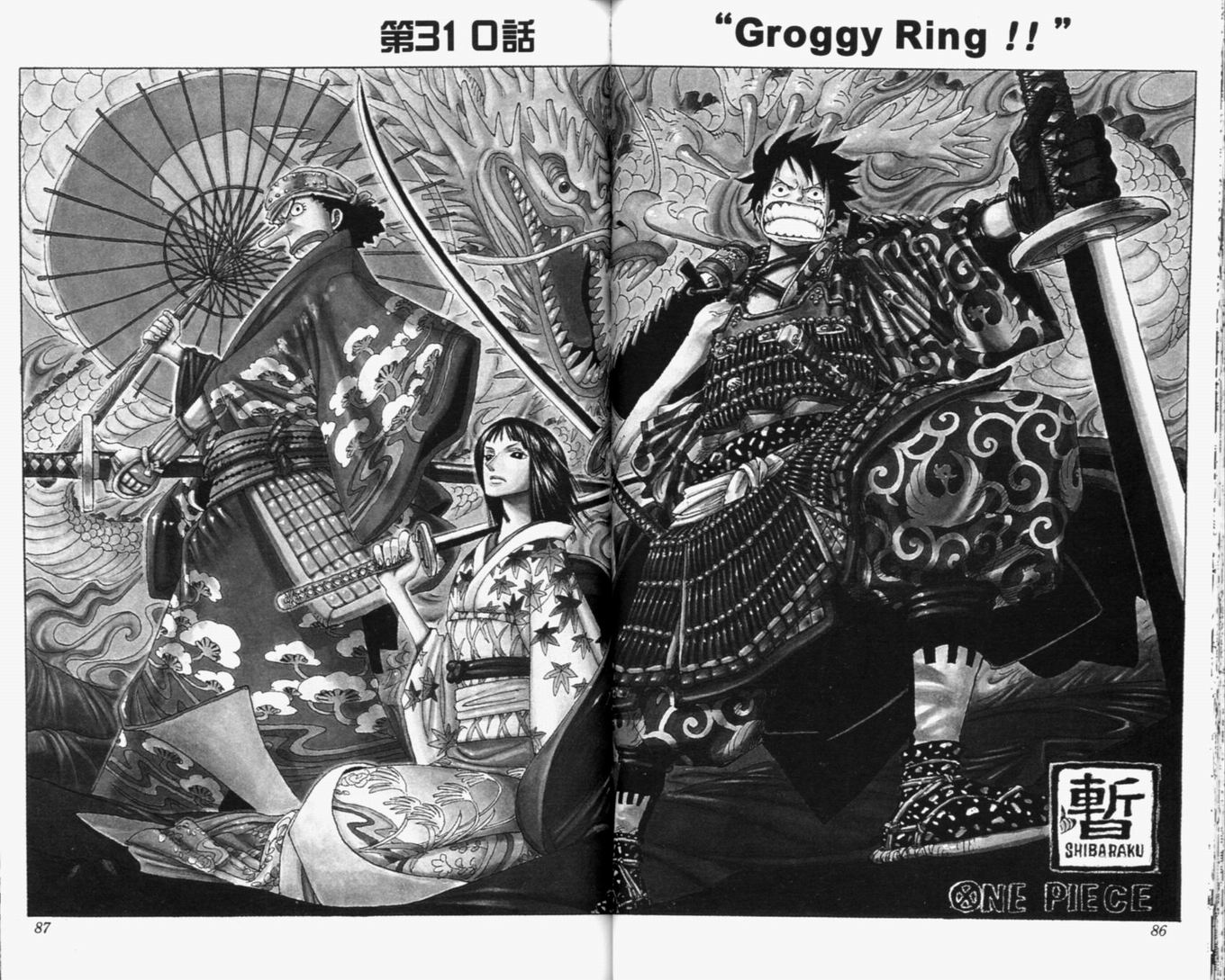 《海贼王》漫画最新章节第33卷免费下拉式在线观看章节第【45】张图片