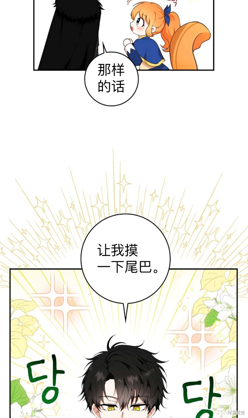 《小松鼠都很厉害》漫画最新章节第7话免费下拉式在线观看章节第【58】张图片