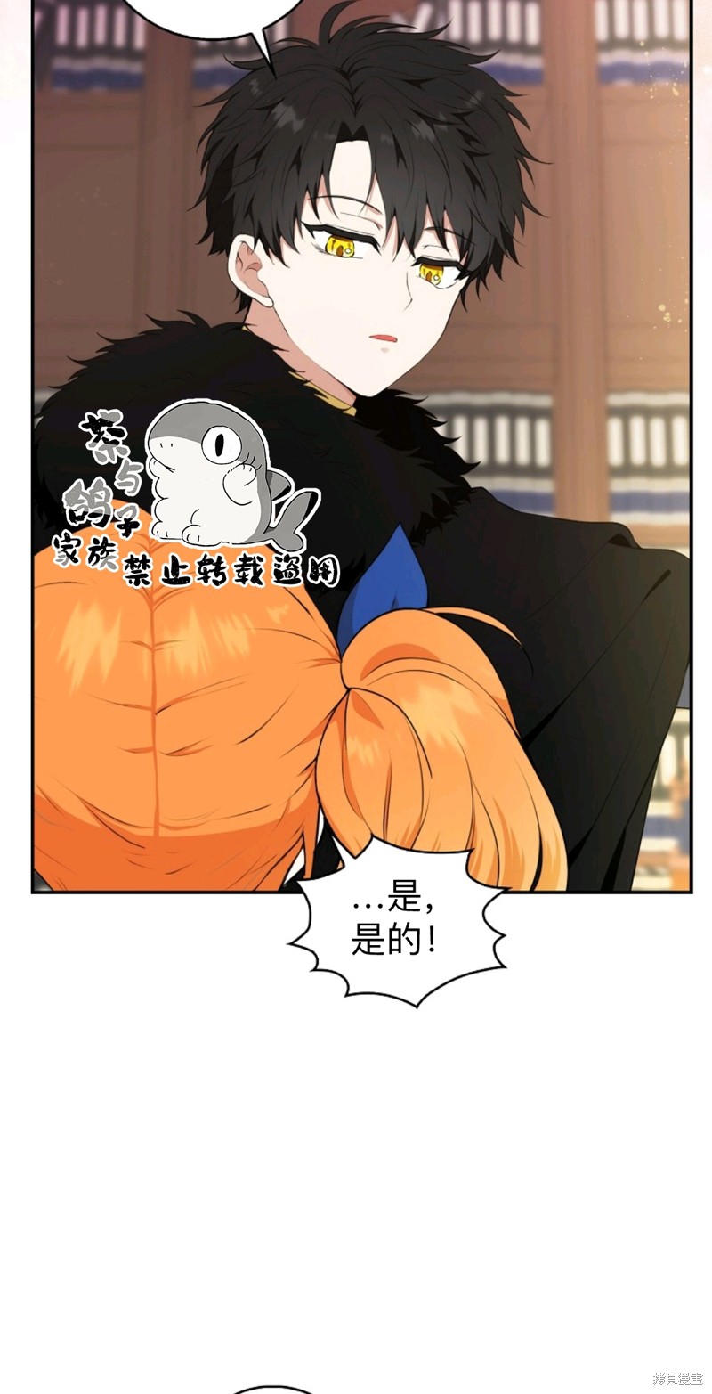 《小松鼠都很厉害》漫画最新章节第7话免费下拉式在线观看章节第【36】张图片