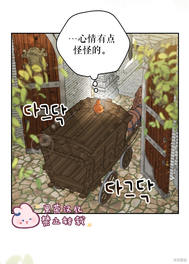 《小松鼠都很厉害》漫画最新章节第2话免费下拉式在线观看章节第【99】张图片