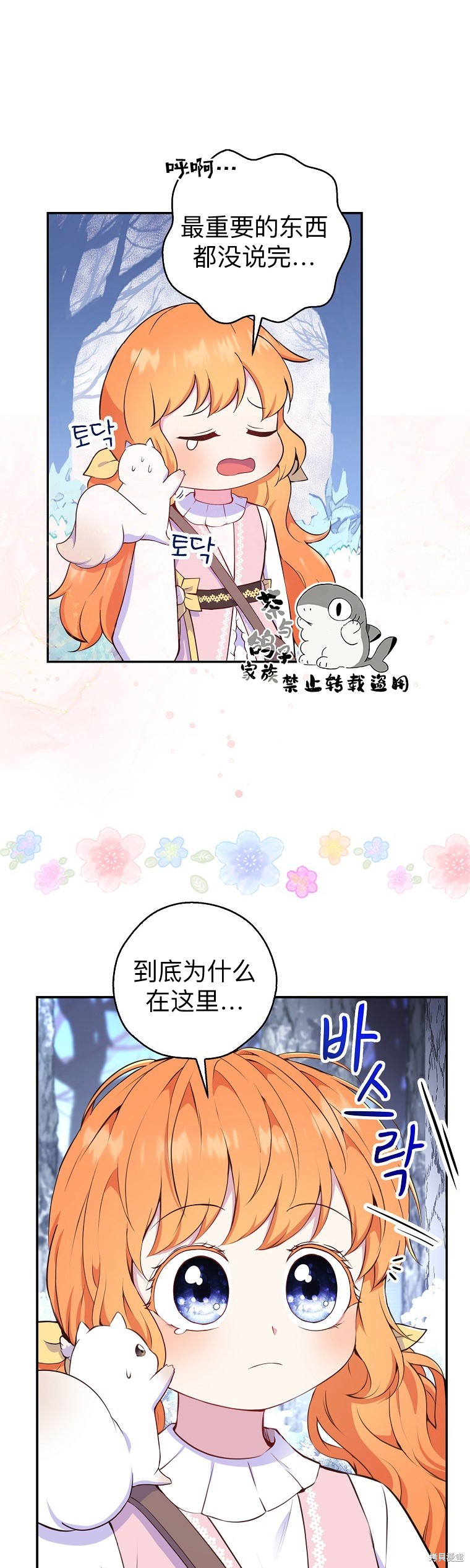 《小松鼠都很厉害》漫画最新章节第13话免费下拉式在线观看章节第【39】张图片