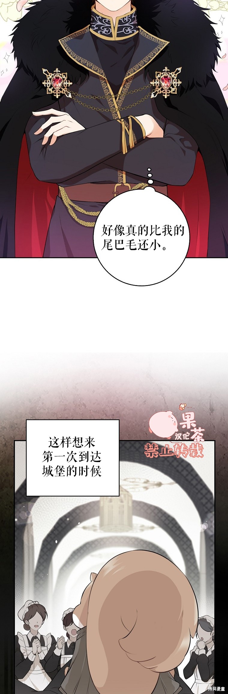 《小松鼠都很厉害》漫画最新章节第5话免费下拉式在线观看章节第【28】张图片