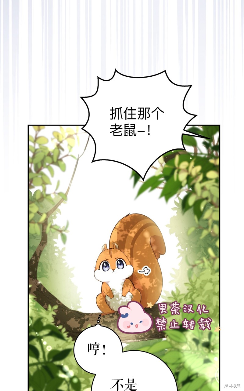 《小松鼠都很厉害》漫画最新章节第2话免费下拉式在线观看章节第【81】张图片