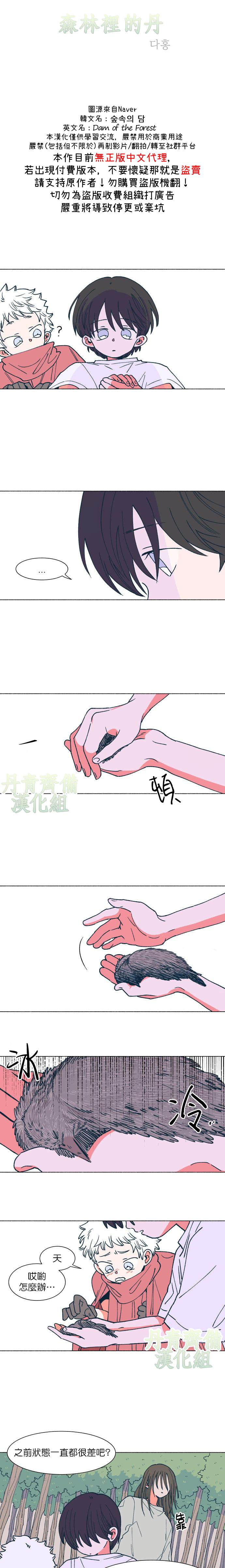 《森林里的丹》漫画最新章节第11话免费下拉式在线观看章节第【2】张图片