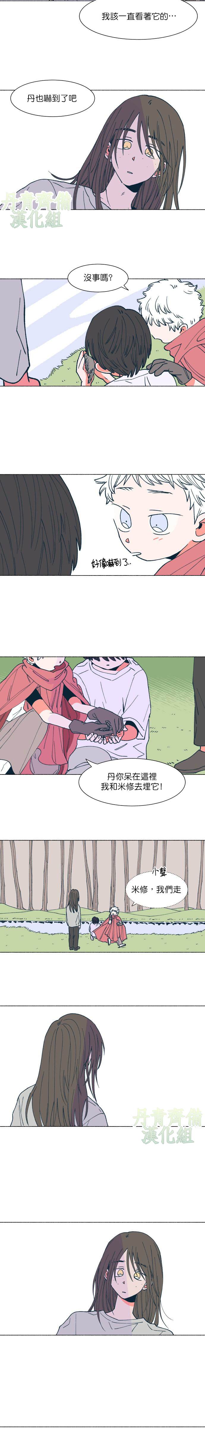 《森林里的丹》漫画最新章节第11话免费下拉式在线观看章节第【3】张图片