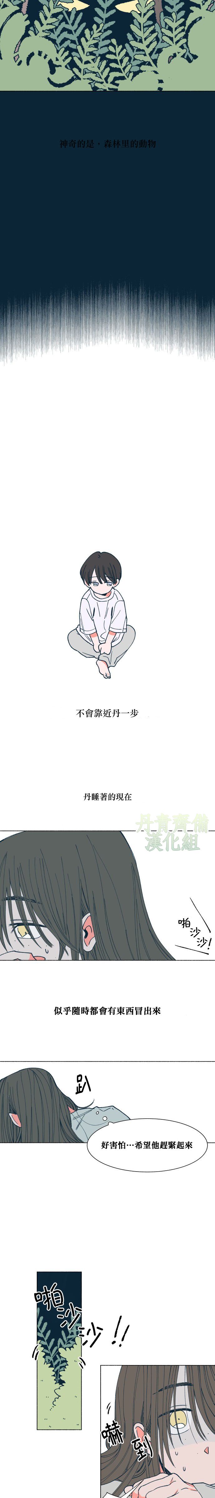 《森林里的丹》漫画最新章节第8话免费下拉式在线观看章节第【3】张图片