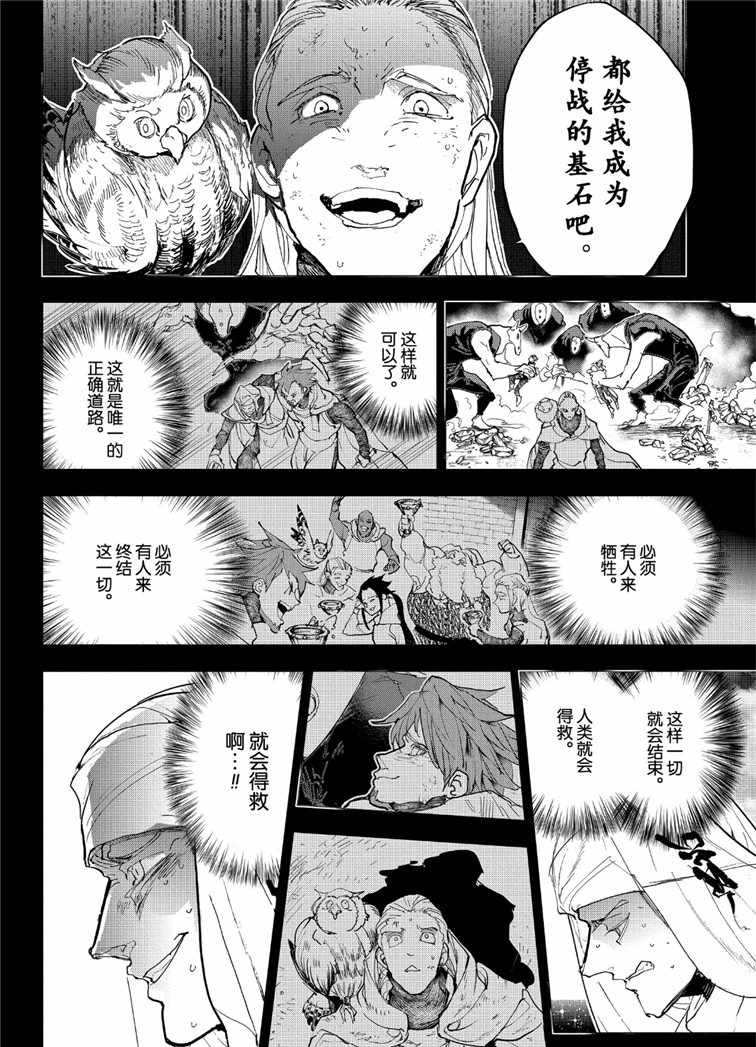 《约定的梦幻岛》漫画最新章节第142话 试看版免费下拉式在线观看章节第【12】张图片