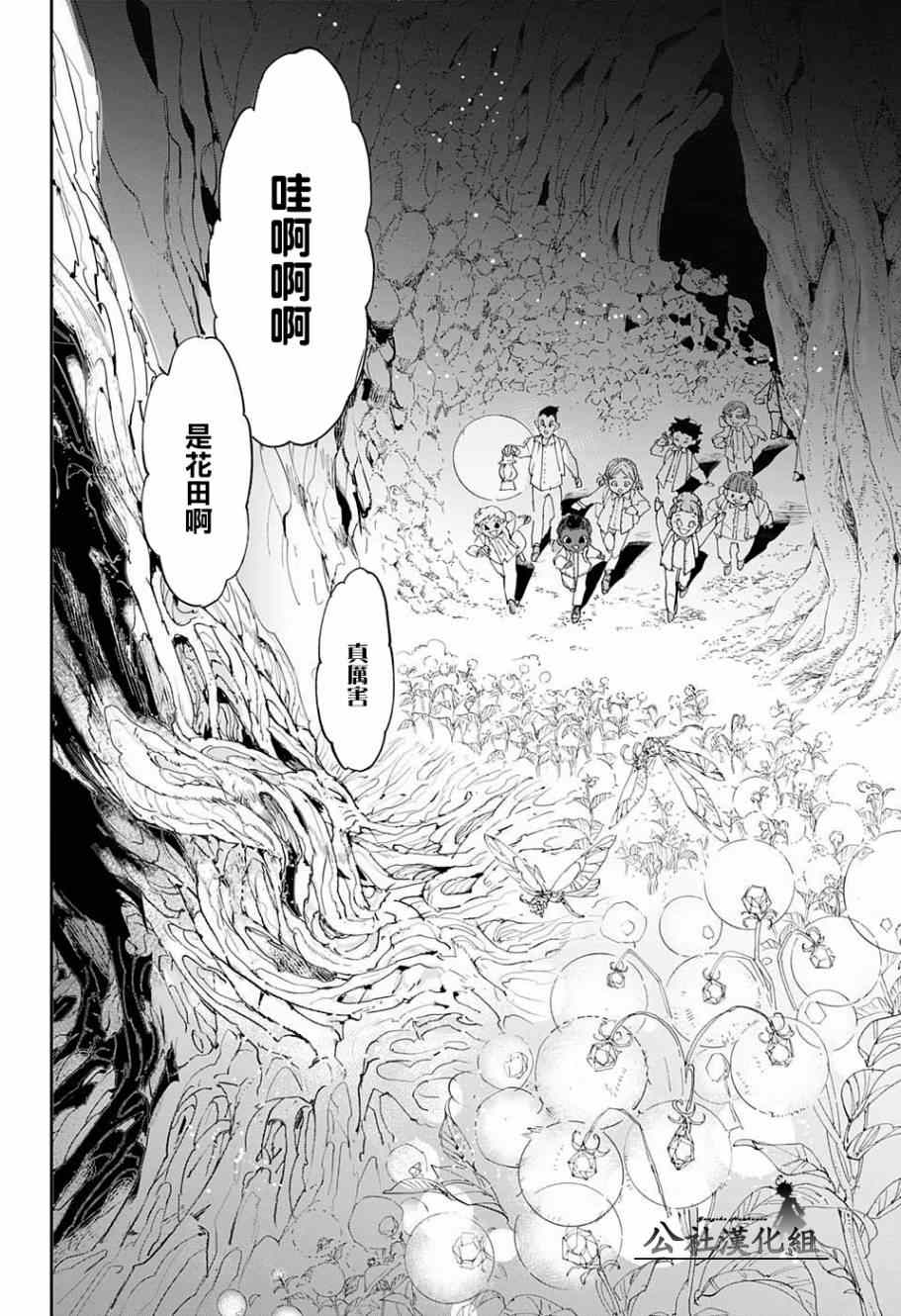 《约定的梦幻岛》漫画最新章节第39话 意料之外免费下拉式在线观看章节第【11】张图片