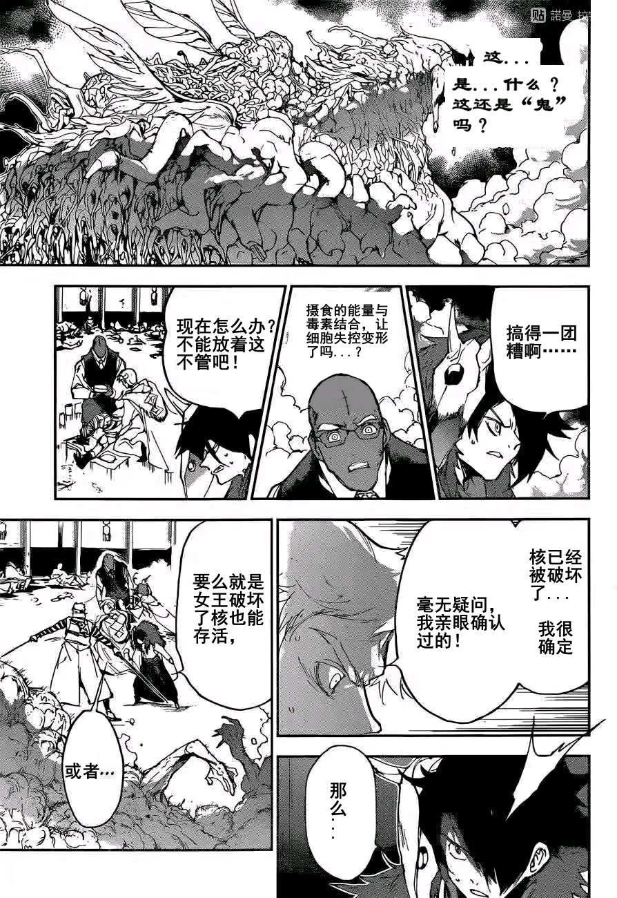 《约定的梦幻岛》漫画最新章节第155话 试看版免费下拉式在线观看章节第【12】张图片