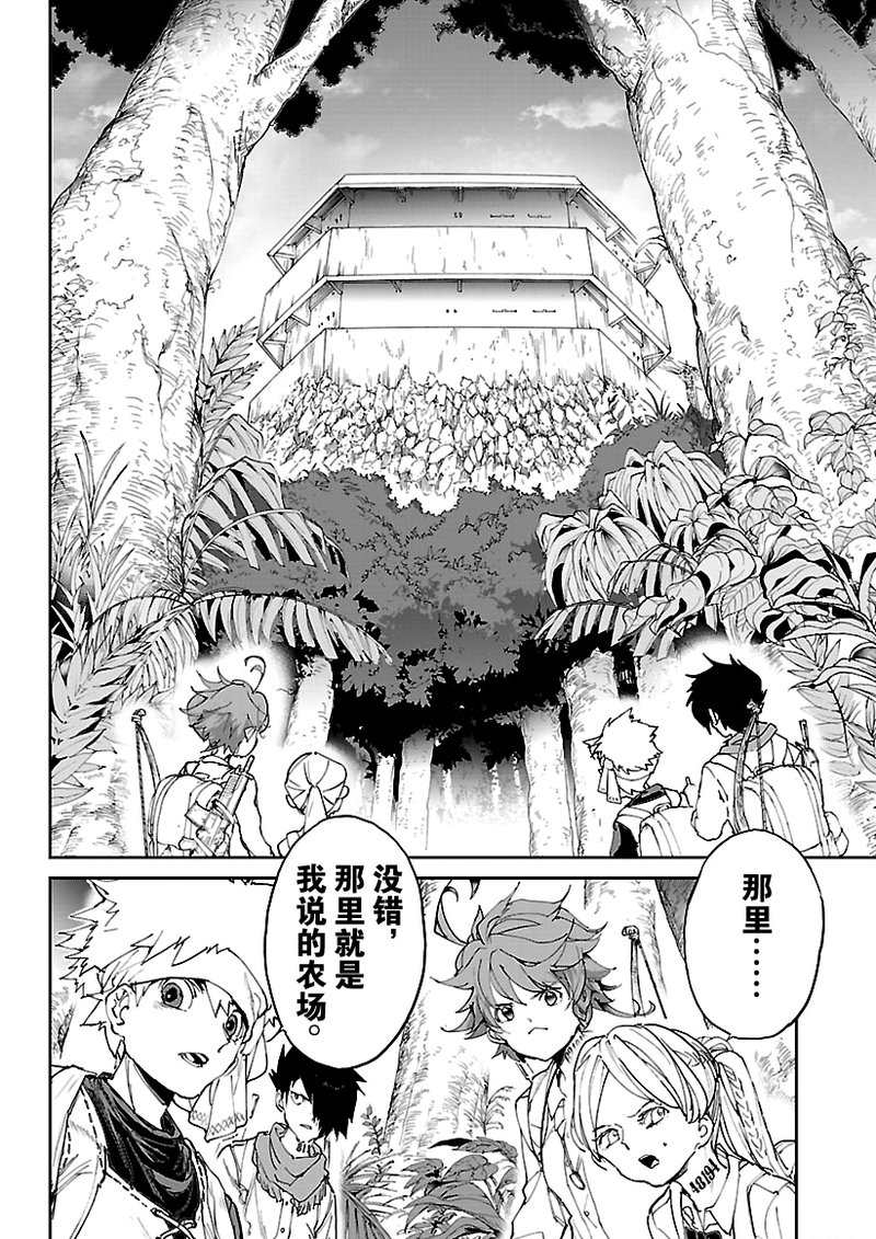 《约定的梦幻岛》漫画最新章节第116话 试看版免费下拉式在线观看章节第【10】张图片