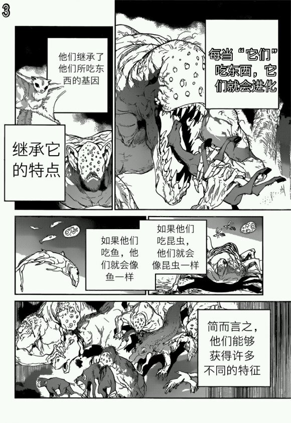 《约定的梦幻岛》漫画最新章节第120话 试看版免费下拉式在线观看章节第【3】张图片