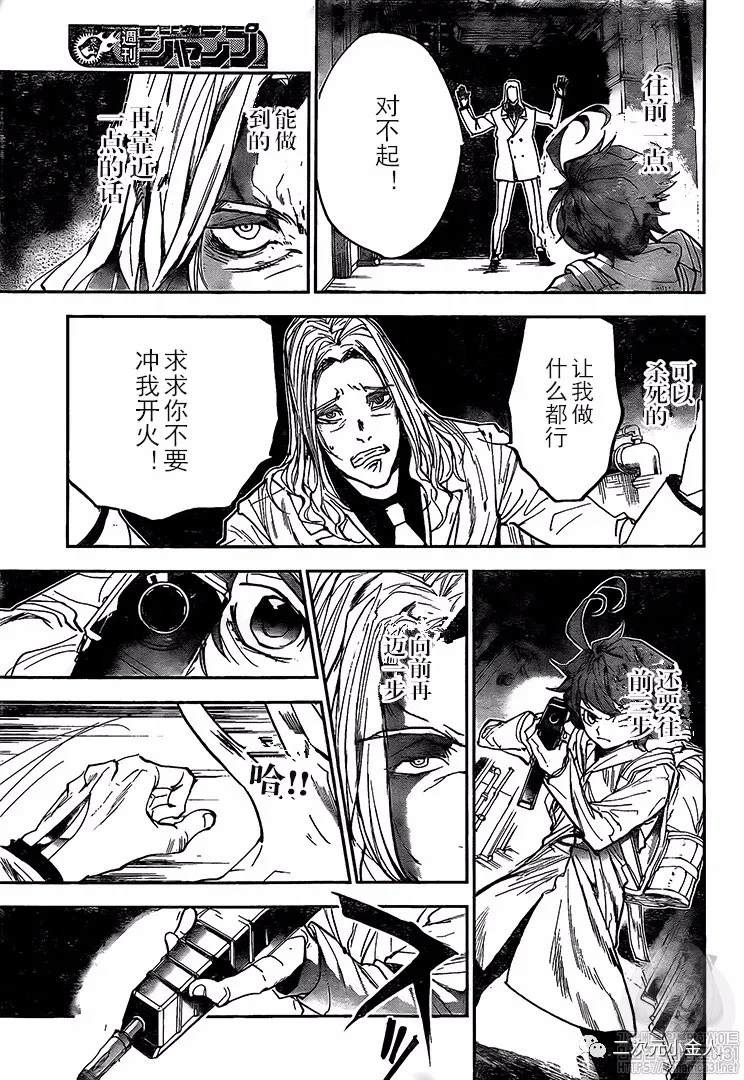 《约定的梦幻岛》漫画最新章节第172话 自由免费下拉式在线观看章节第【5】张图片