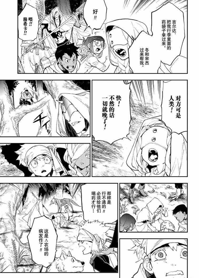 《约定的梦幻岛》漫画最新章节第144话 试看版免费下拉式在线观看章节第【9】张图片