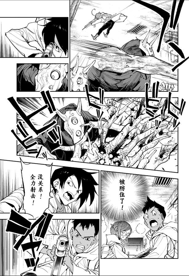 《约定的梦幻岛》漫画最新章节第167话免费下拉式在线观看章节第【7】张图片