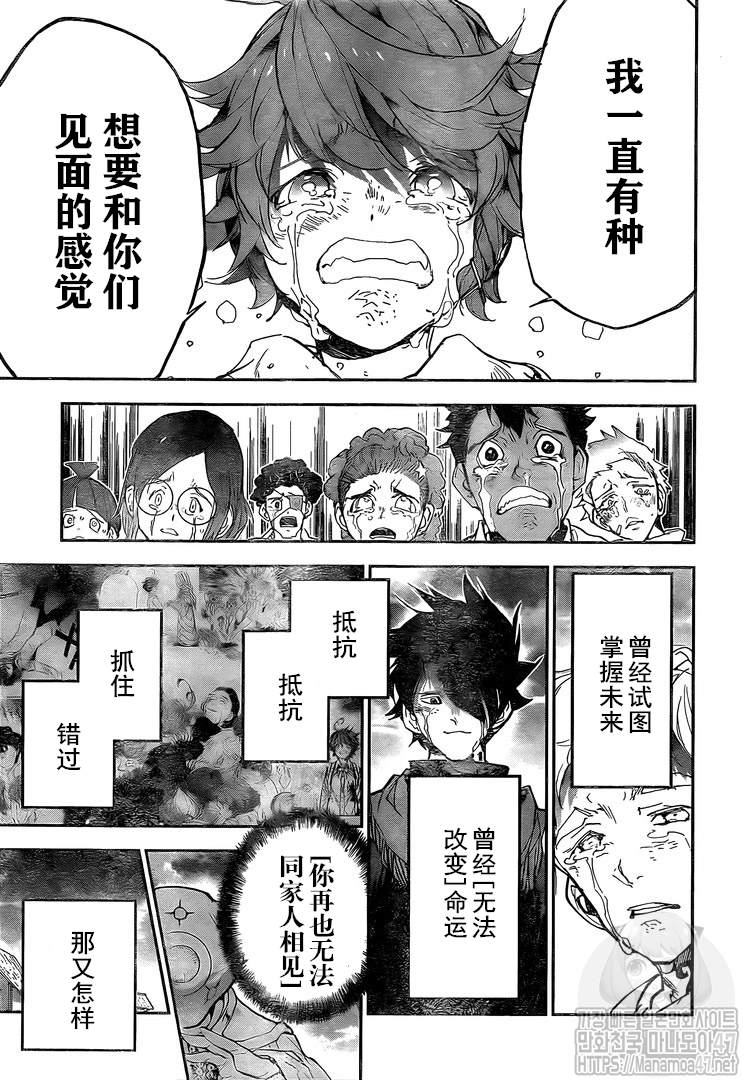 《约定的梦幻岛》漫画最新章节第181话 最终话 命运的彼岸免费下拉式在线观看章节第【24】张图片