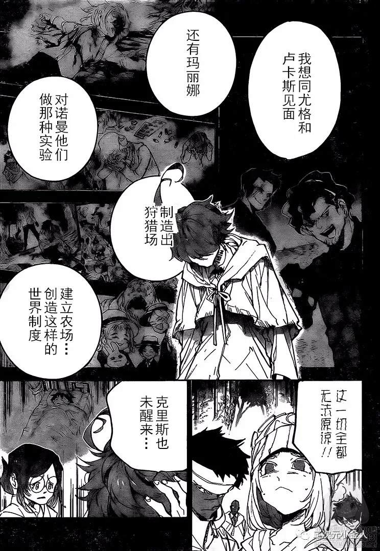 《约定的梦幻岛》漫画最新章节第172话 自由免费下拉式在线观看章节第【9】张图片