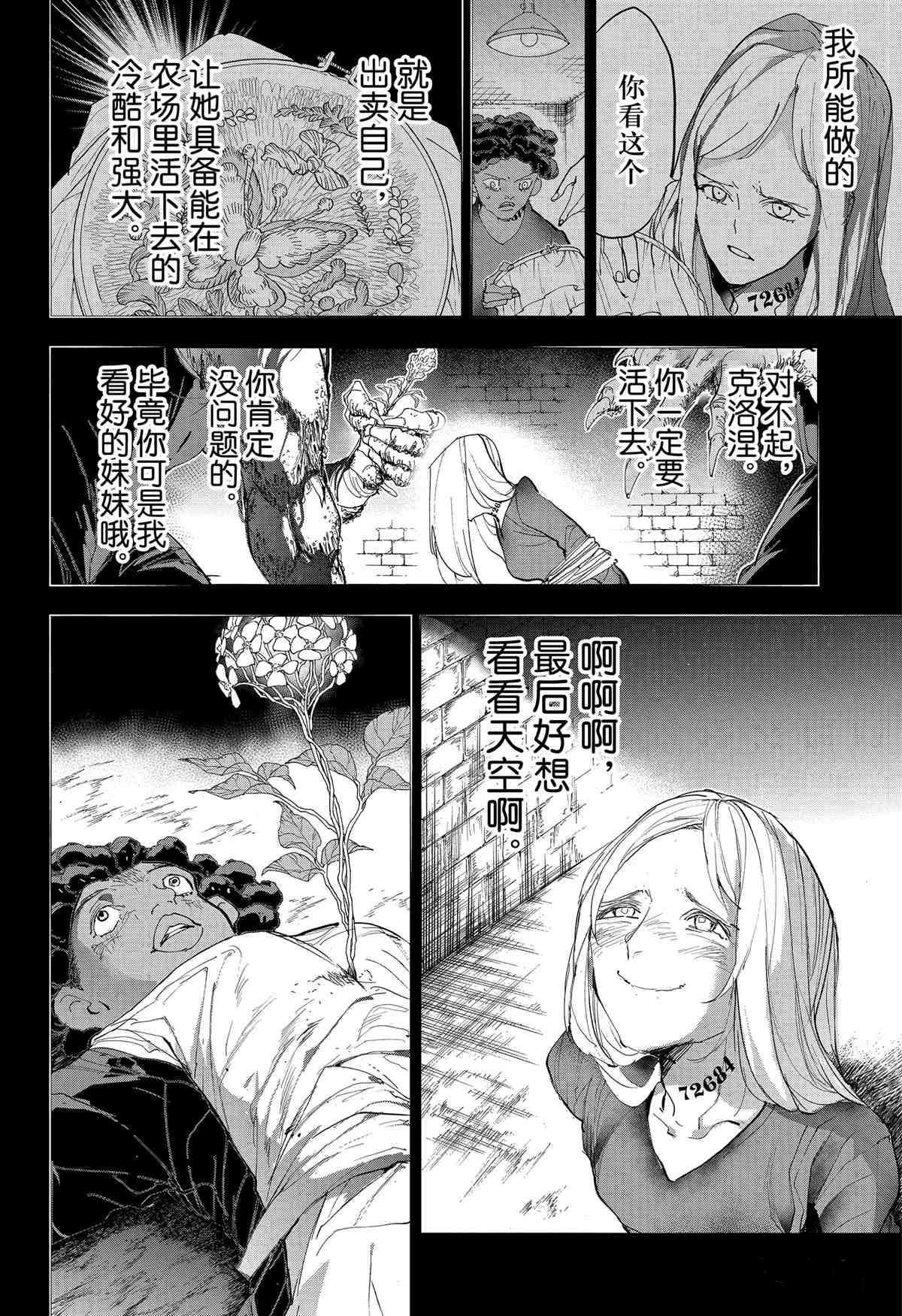 《约定的梦幻岛》漫画最新章节第183话免费下拉式在线观看章节第【35】张图片