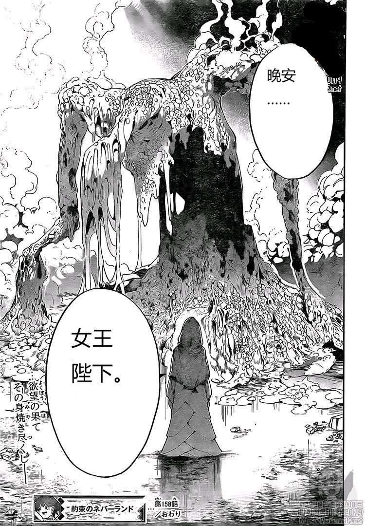 《约定的梦幻岛》漫画最新章节第158话 试看版免费下拉式在线观看章节第【18】张图片