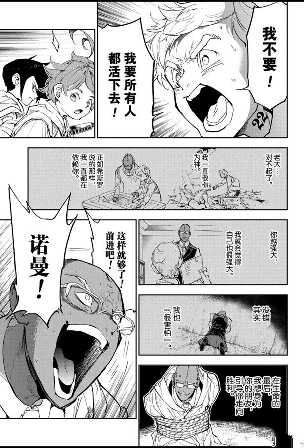 《约定的梦幻岛》漫画最新章节第168话免费下拉式在线观看章节第【15】张图片