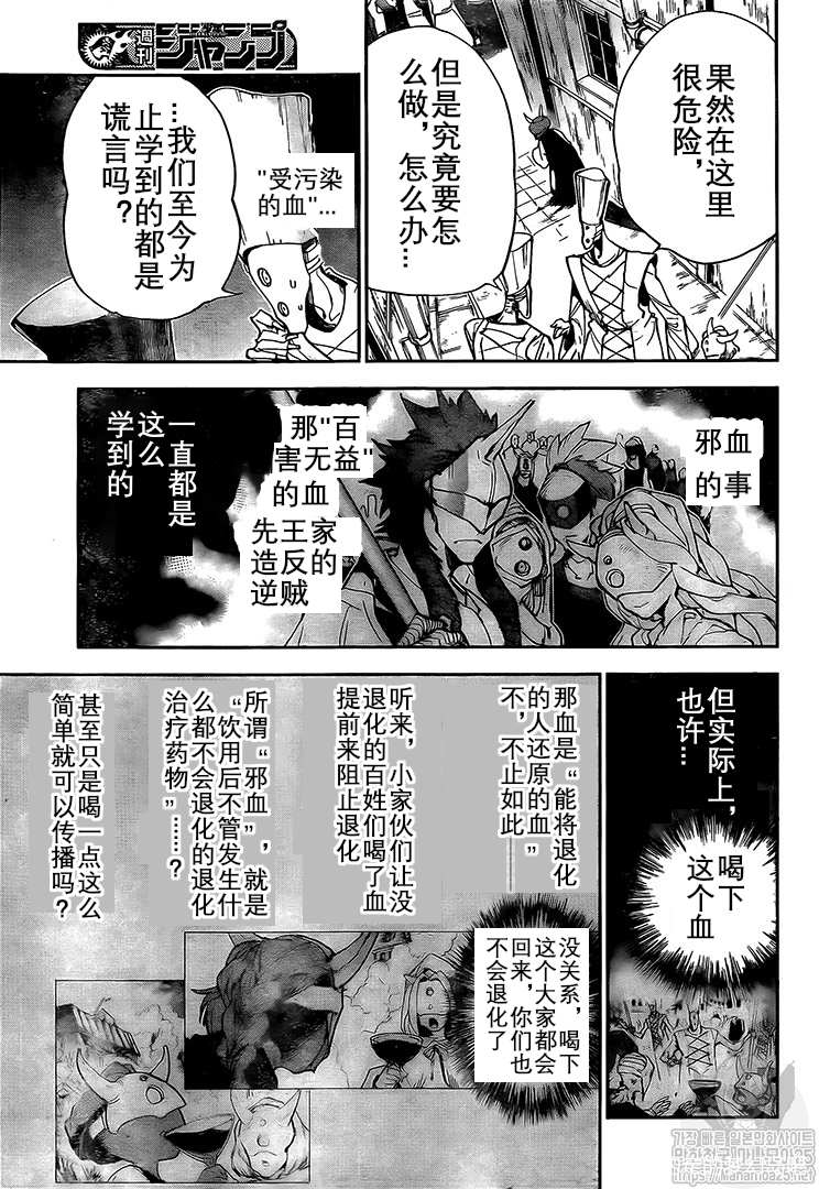 《约定的梦幻岛》漫画最新章节第164话 试看版免费下拉式在线观看章节第【5】张图片