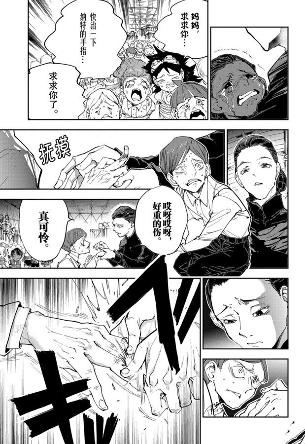 《约定的梦幻岛》漫画最新章节第165话免费下拉式在线观看章节第【17】张图片