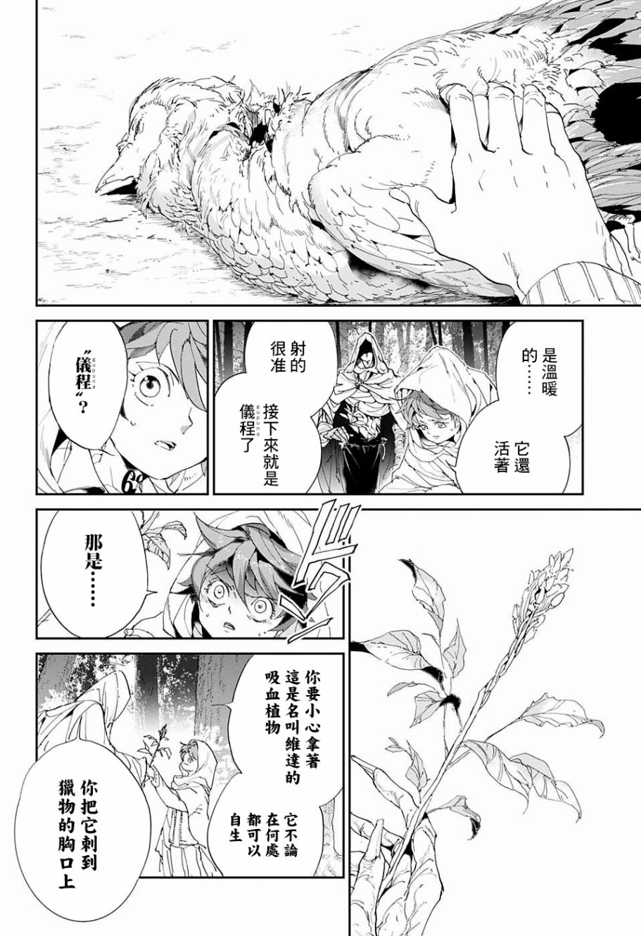 《约定的梦幻岛》漫画最新章节第49话 请教教我免费下拉式在线观看章节第【13】张图片