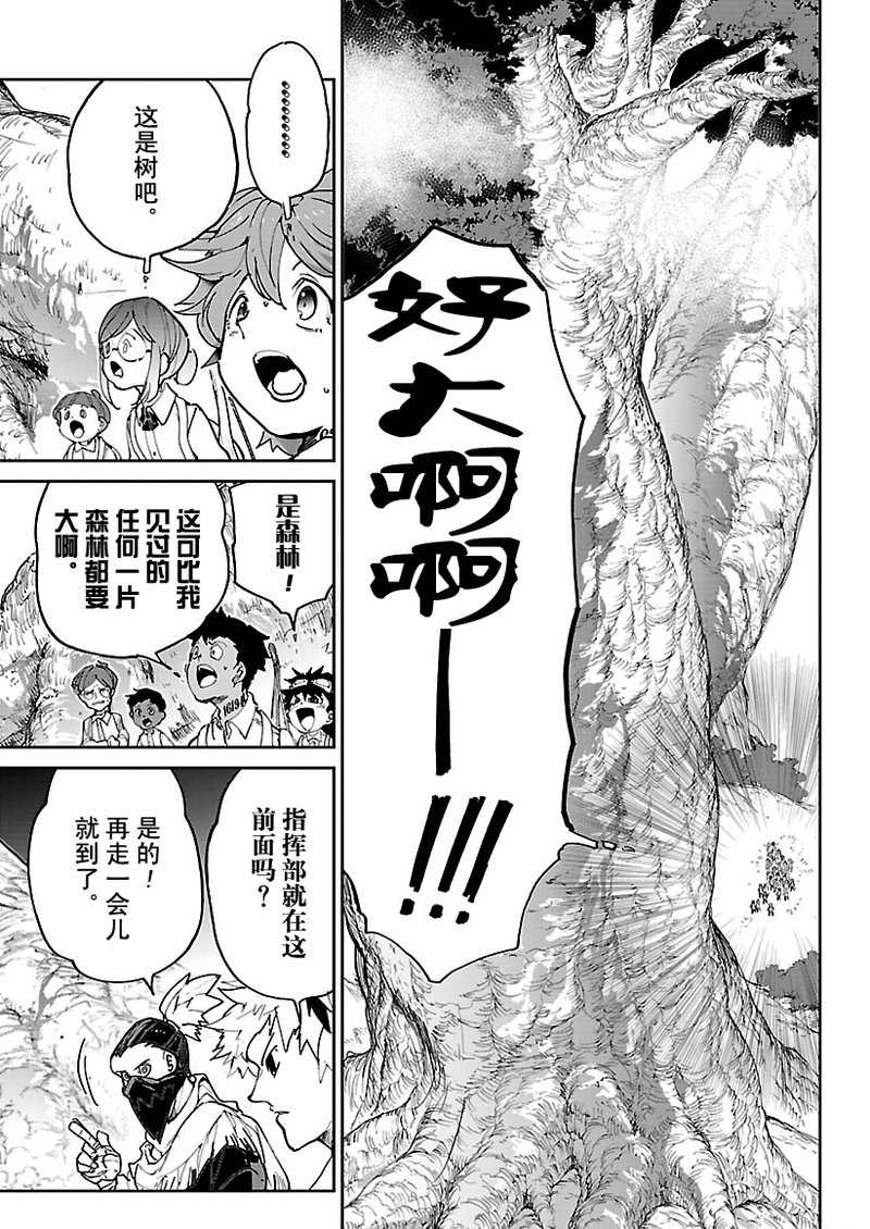 《约定的梦幻岛》漫画最新章节第118话 试看版免费下拉式在线观看章节第【6】张图片