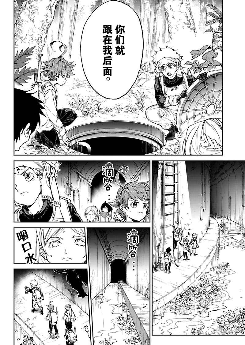 《约定的梦幻岛》漫画最新章节第116话 试看版免费下拉式在线观看章节第【12】张图片