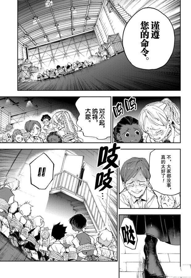 《约定的梦幻岛》漫画最新章节第165话免费下拉式在线观看章节第【15】张图片