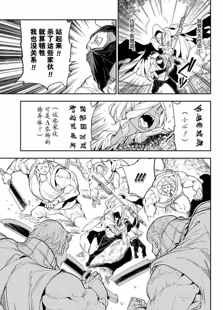 《约定的梦幻岛》漫画最新章节第144话 试看版免费下拉式在线观看章节第【5】张图片