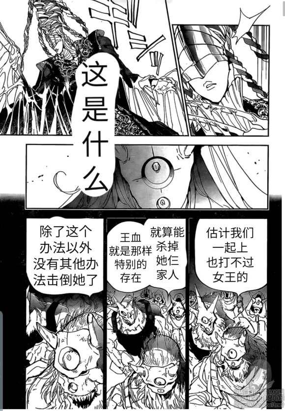 《约定的梦幻岛》漫画最新章节第150话 试看版免费下拉式在线观看章节第【3】张图片