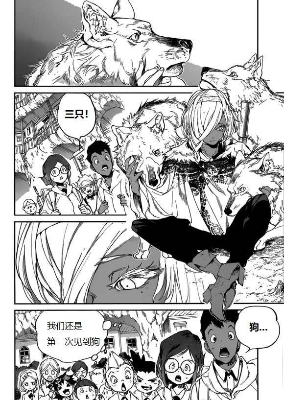 《约定的梦幻岛》漫画最新章节第135话 试看版免费下拉式在线观看章节第【12】张图片