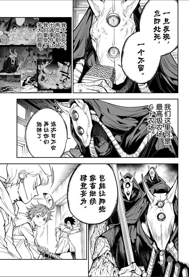 《约定的梦幻岛》漫画最新章节第167话免费下拉式在线观看章节第【5】张图片