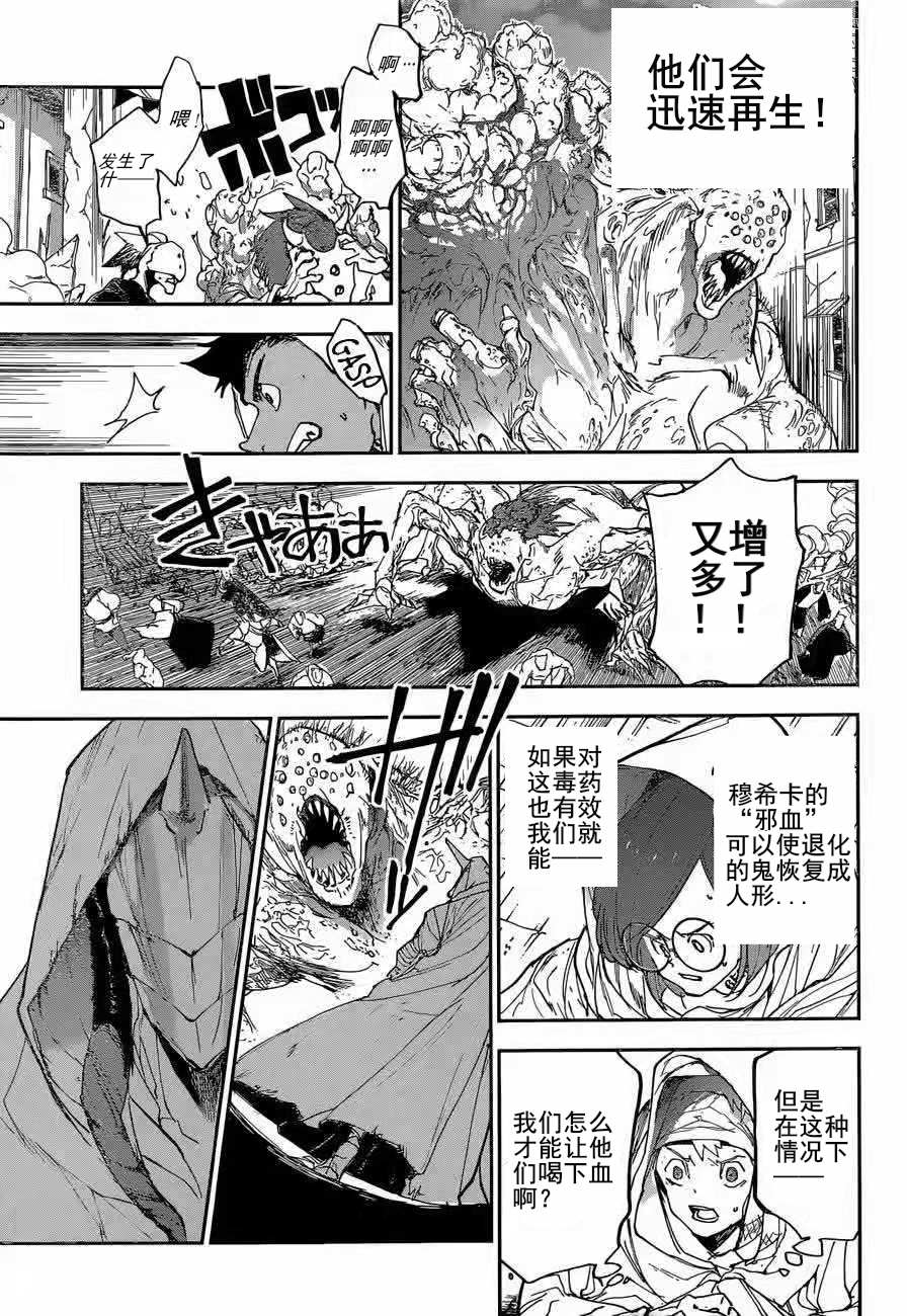 《约定的梦幻岛》漫画最新章节第155话 试看版免费下拉式在线观看章节第【3】张图片