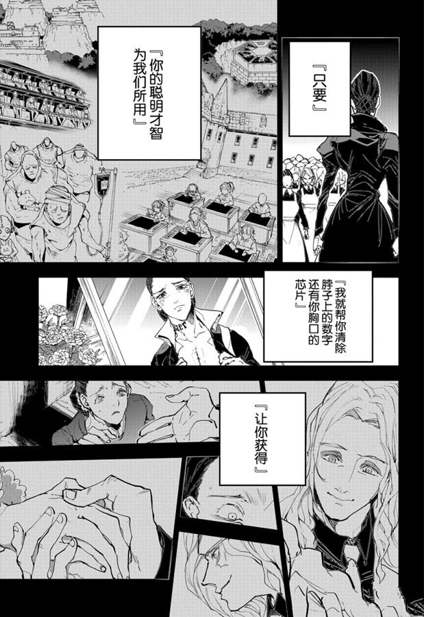 《约定的梦幻岛》漫画最新章节第165话免费下拉式在线观看章节第【9】张图片