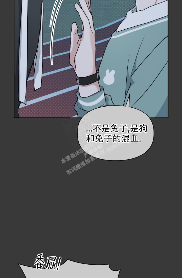 《诱饵》漫画最新章节第25话免费下拉式在线观看章节第【21】张图片