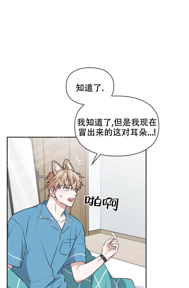 《诱饵》漫画最新章节第37话免费下拉式在线观看章节第【15】张图片