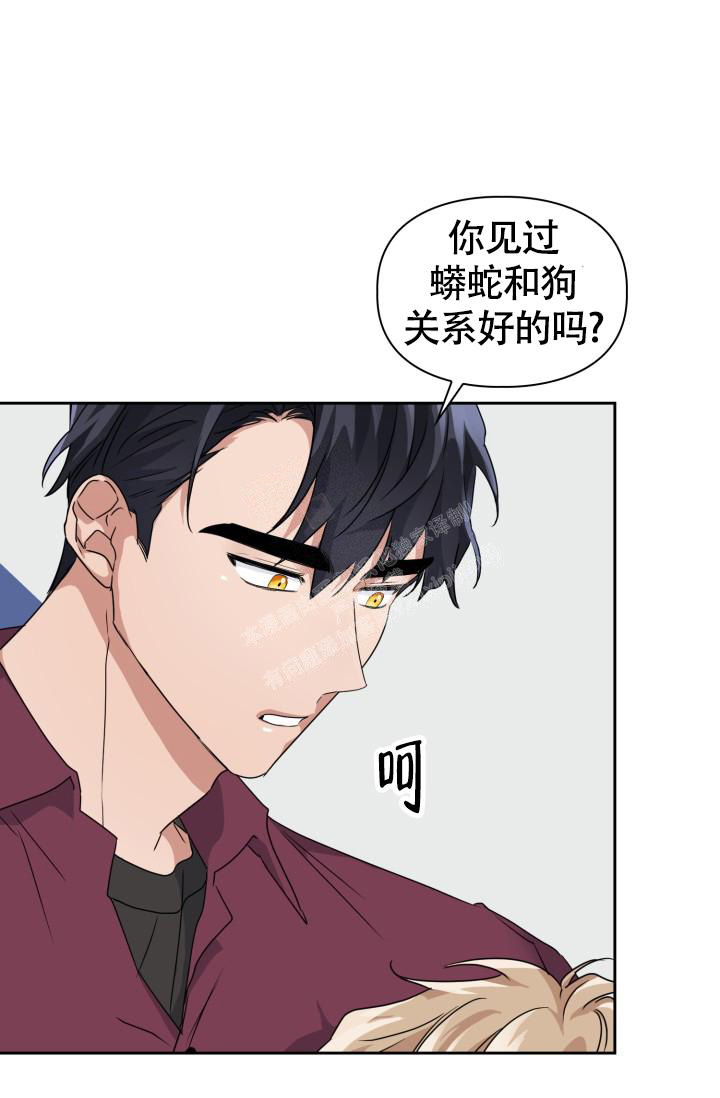 《诱饵》漫画最新章节第31话免费下拉式在线观看章节第【40】张图片